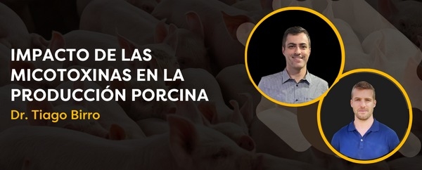 CerdoCast #75 - Impacto de las micotoxinas en la producción porcina - Image 1