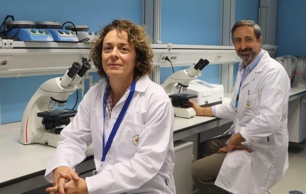 España - Procesos neurodegenerativos de una micotoxina presente en diversos alimentos - Image 1