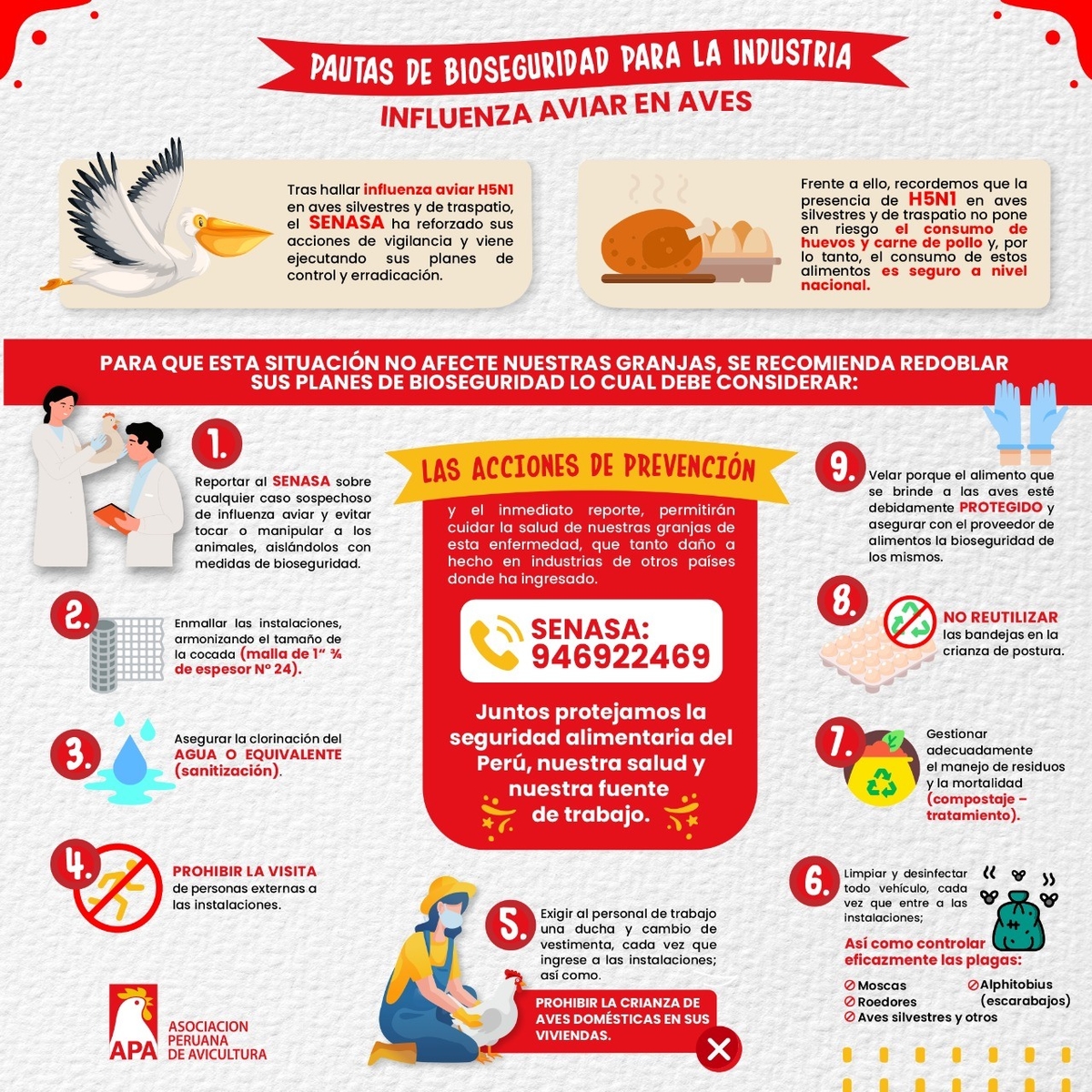 Perú - Pautas de Bioseguridad por la Influenza Aviar - Image 1
