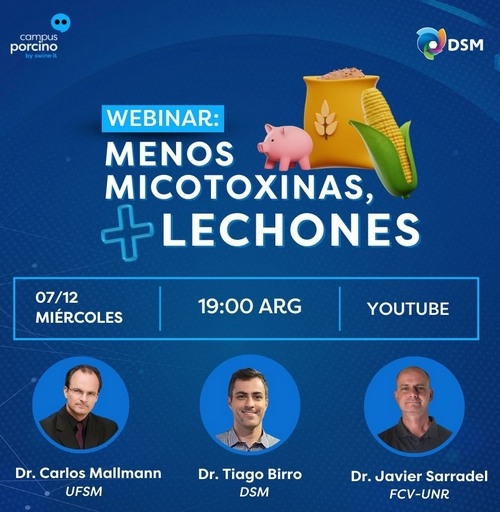 Menos micotoxinas, más lechones. Webinar de Campus Porcino - Image 1