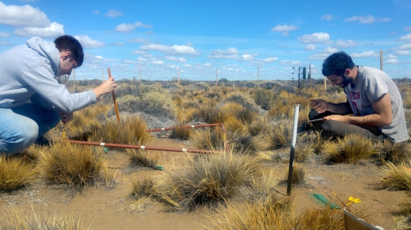Proponen una forma de anticiparse a la degradación en Patagonia - Image 1
