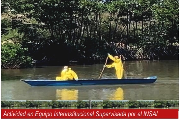 Venezuela - Influenza Aviar H5N1: Boletín Epidemiológico Zoosanitario - Image 4