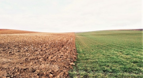 Ecorregímenes, Agricultura más soostenible. Política Agraria Común 2023-2027 - Image 2