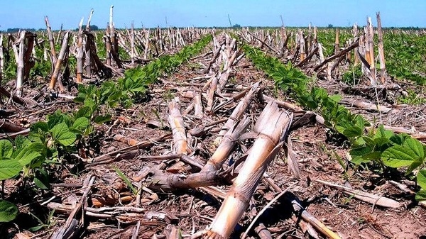 Ecorregímenes, Agricultura más soostenible. Política Agraria Común 2023-2027 - Image 3