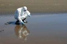 Chile - Primer caso de influenza aviar H5N1 en ave silvestre encontrada en Arica - Image 1