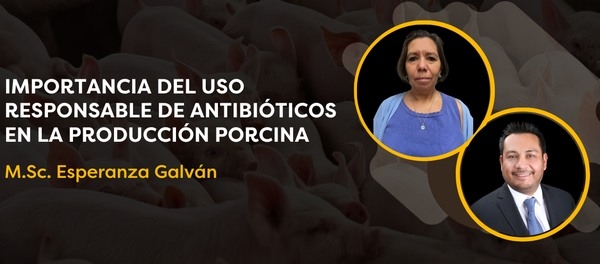 Cerdocast #74: Importancia del uso responsable de antibióticos en porcinos - Image 1