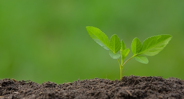 Fertilizar lanza el Simposio FERTILIDAD 2023 - Image 2