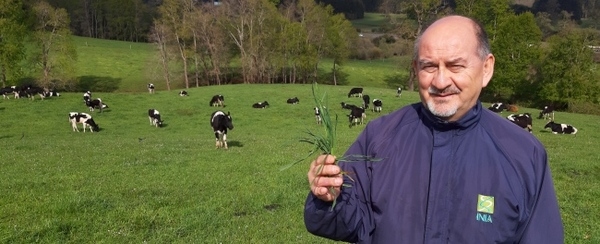 Chile: Investigador de INIA Remehue entrega recomendaciones para enfrentar alza de fertilizantes - Image 1