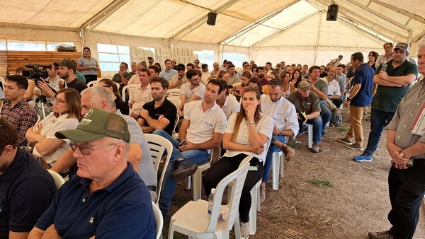 Argentina - Producción con Biológicos en la zona núcleo - Image 4