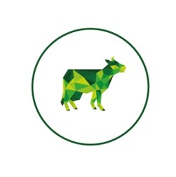 Animine presentó el trabajo 