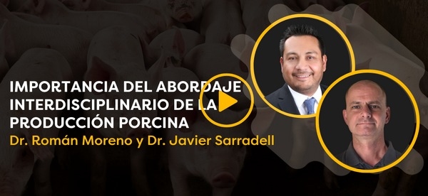 CerdoCast #87: Abordaje interdisciplinario de la producción porcina - Image 1