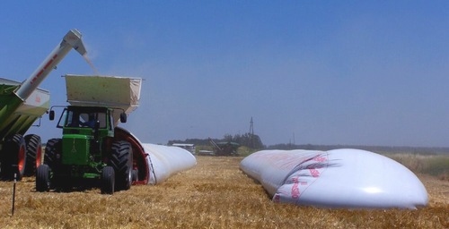 Silobolsas argentinos: con potencial para guardar los granos de Brasil - Image 4