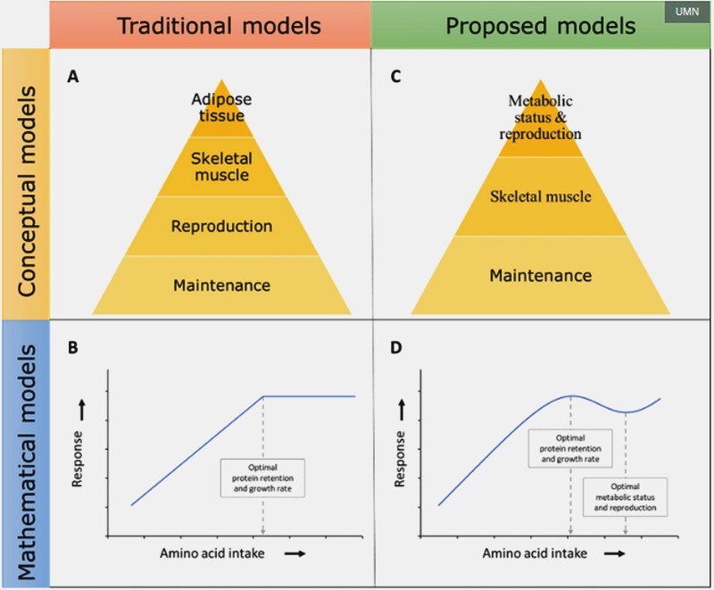 Aminoácidos en cerdos ¿Son suficientes para responder al estrés y las enfermedades? - Image 1