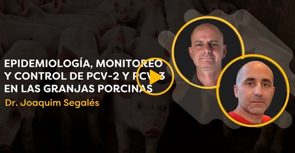Cerdocast #85 - PCV-2 y PCV-3 en las granjas porcinas: Joaquim Segalés - Image 1
