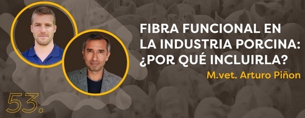 CerdoCast #53: Fibra funcional en la industria porcina - Image 1