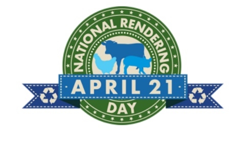Importancia del Rendering - Image 1
