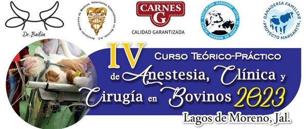 México - IV Curso Teórico-Práctico de Anestesia, Clínica y Cirugía en Bovinos 2023 - Image 1