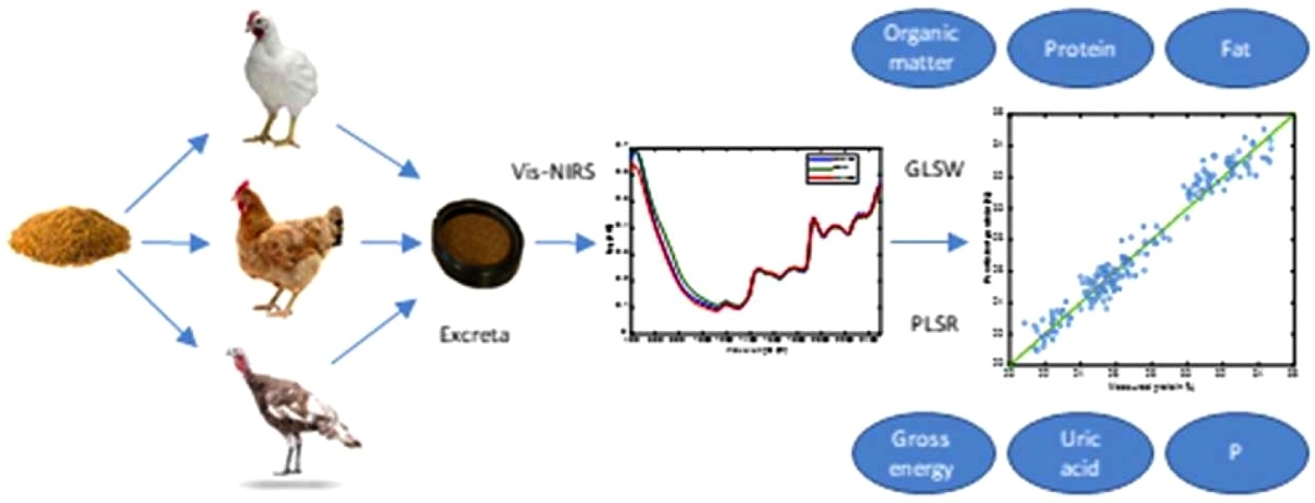 Uso de NIRS para predecir la composición de nutrientes en las excretas de las aves - Image 1