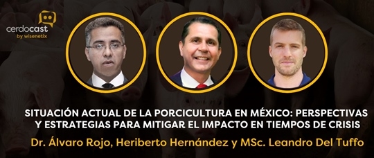 Mexico - Situación de la porcicultura: Perspectivas y estrategias para mitigar la crisis - Image 1