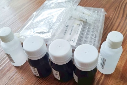 Argentina - Desarrollan un kit para detectar SARS-CoV-2 en mamíferos - Image 2