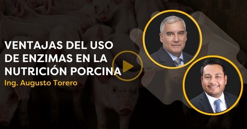 CerdoCast: Ventajas del uso de enzimas en la nutrición porcina - Image 1