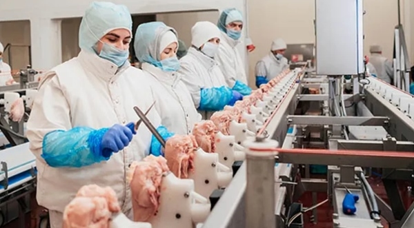 Argentina - La industria avícola, entre las más sustentables del mercado internacional - Image 2