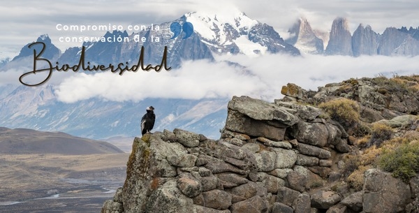 Chile - Compromiso de la industria porcina con la biodiversidad - Image 1