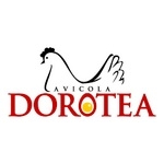 Uruguay - Avícola Dorotea: Tecnología y Medio Ambiente - Image 1