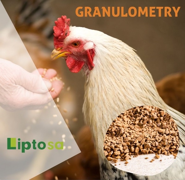¡La granilometria importa! - Image 1