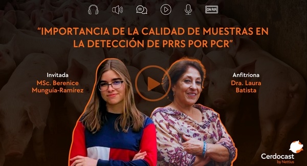 Cerdocast #113: Calidad de muestras en la detección de PRRS - Image 1