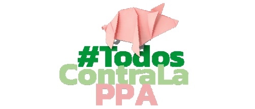 Grupo Prevención de PPA en las América - Image 1