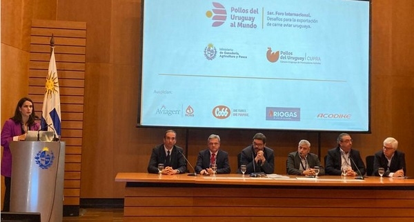 Uruguay - Los desafíos que enfrenta la avicultura en su proyecto exportador - Image 1