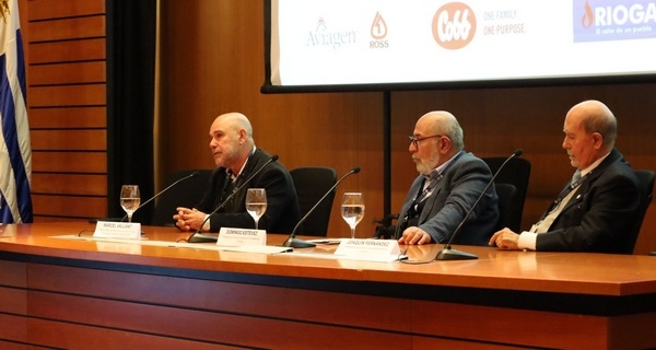Uruguay - Desafíos que enfrenta la carne aviar su proyecto exportador - Image 1
