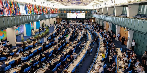 Conferencia Mundial de la FAO sobre la Transformación Sostenible de la Ganadería - Image 2