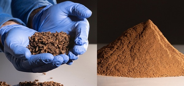 España - Construyen nueva planta de producción de mosca soldado negra - Image 1