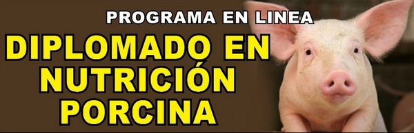Diplomado en Nutrición Porcina. Programa en Línea - Image 1