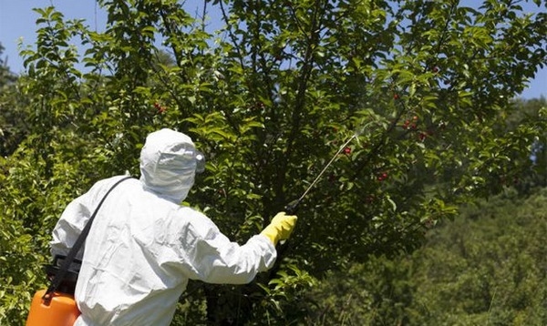 Alemania - Consenso global para el manejo de los Plaguicidas Altamente Peligrosos - Image 1
