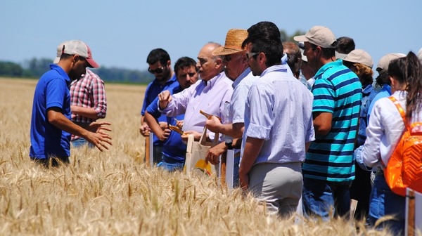 Argentina - Jornada de Trigo 2023: potenciar el rinde y la productividad en cada campaña - Image 1