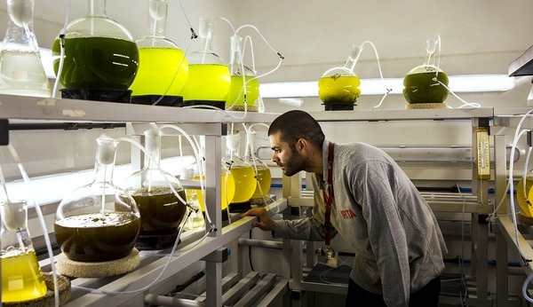 España - Impulsan Centro de innovación en Proteínas Alternativas - Image 4