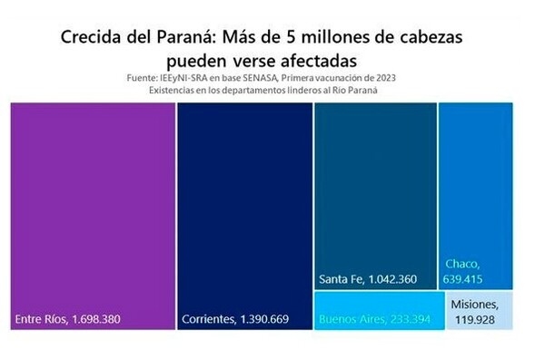 Argentina - La SRA estimó en más de 5 millones las cabezas de ganado afectadas por la crecida del Paraná - Image 2