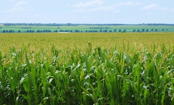 Argentina - Agricultura adaptativa: cómo gestionar el agua ante un clima variable - Image 1