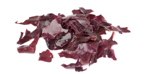 Escocia - Alga roja por harina de soja en la alimentación de los pollos - Image 1