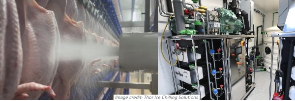 Islandia - Proyecto ChillBact: Eliminar patógenos de la carne de aves - Image 2