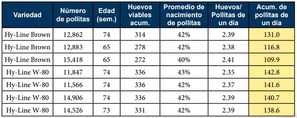 La excelencia genética conduce a una mayor rentabilidad - Image 2