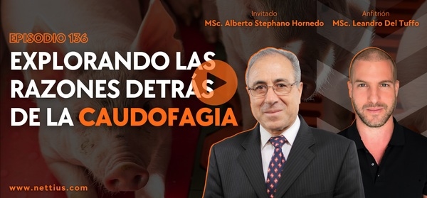 Cerdocast #136: Explorando las razones detrás de la caudofagia - Image 1