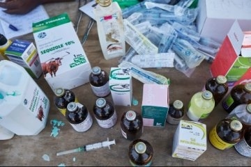 Crean la primera lista mundial de medicamentos veterinarios esenciales - Image 1