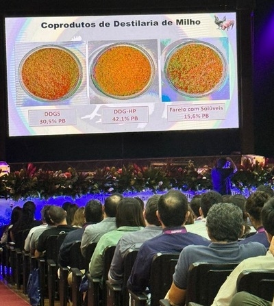 Tablas Brasileñas de Aves y Porcinos: Contenido sobre alta proteina se publica, por primera vez, en las - Image 1