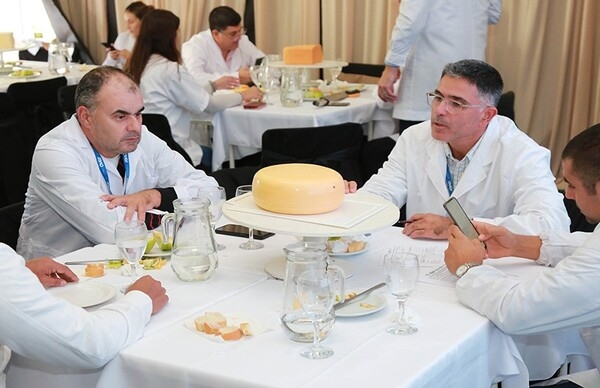 TodoLáctea -  Concurso Copa Argentina de Quesos con Ojos y Dulce de Leche - Image 1