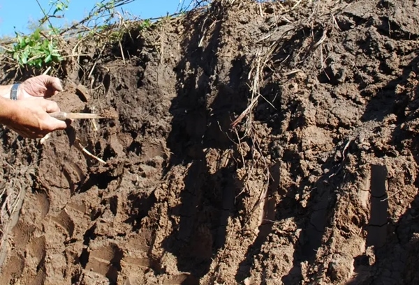 Argentina - Suelos: cómo conservar 100 milímetros de agua de lluvia - Image 3