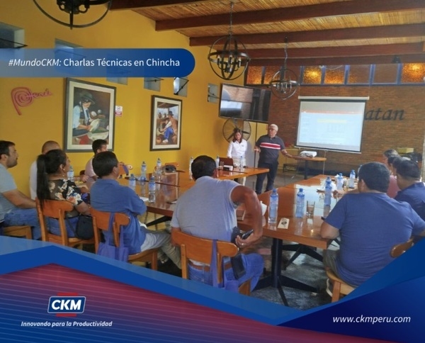 Innovación para la productividad por medio de productos alternativos - Image 1